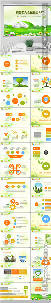 医疗药丸工作报告PPT