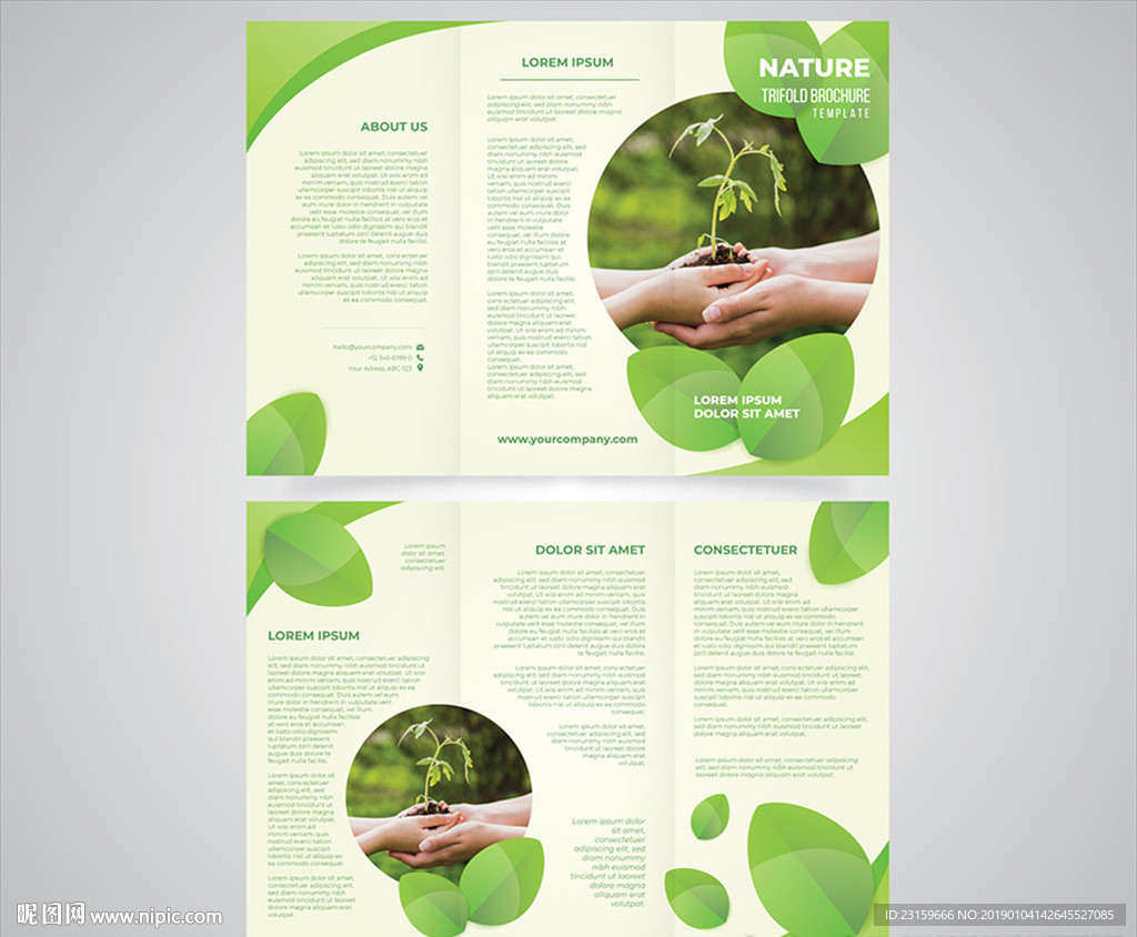 绿色环保公益组织三折页