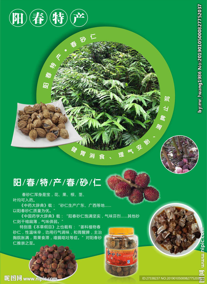 春砂仁