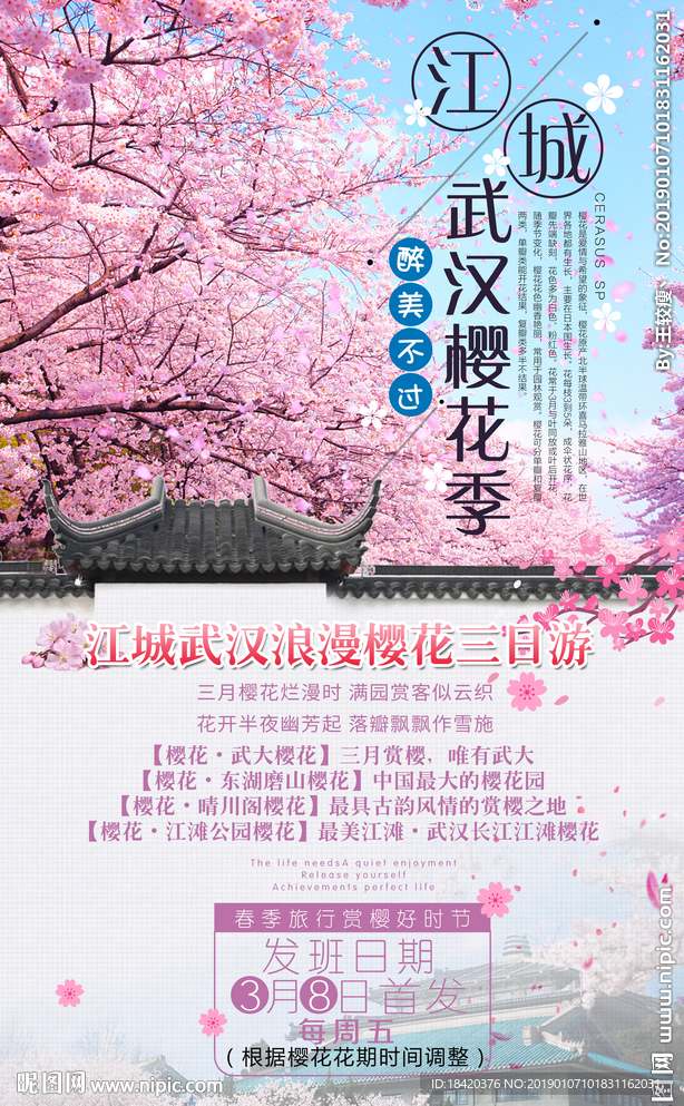 武汉樱花季旅游海报