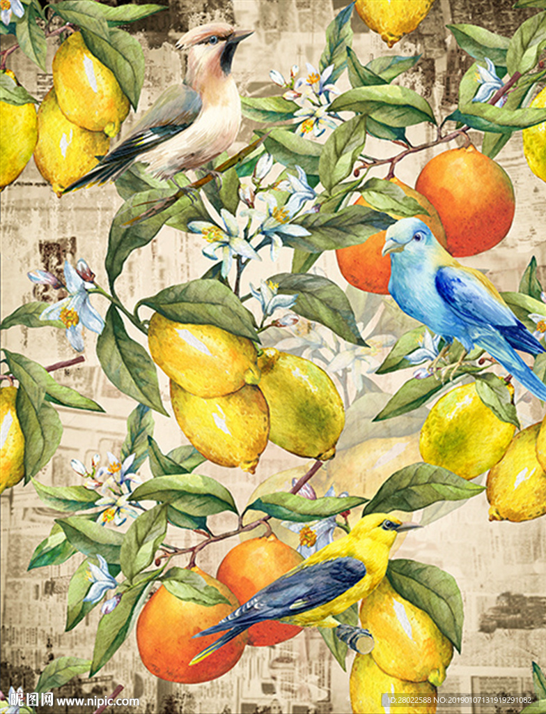 手绘怀旧柠檬桔子小鸟服装印花图