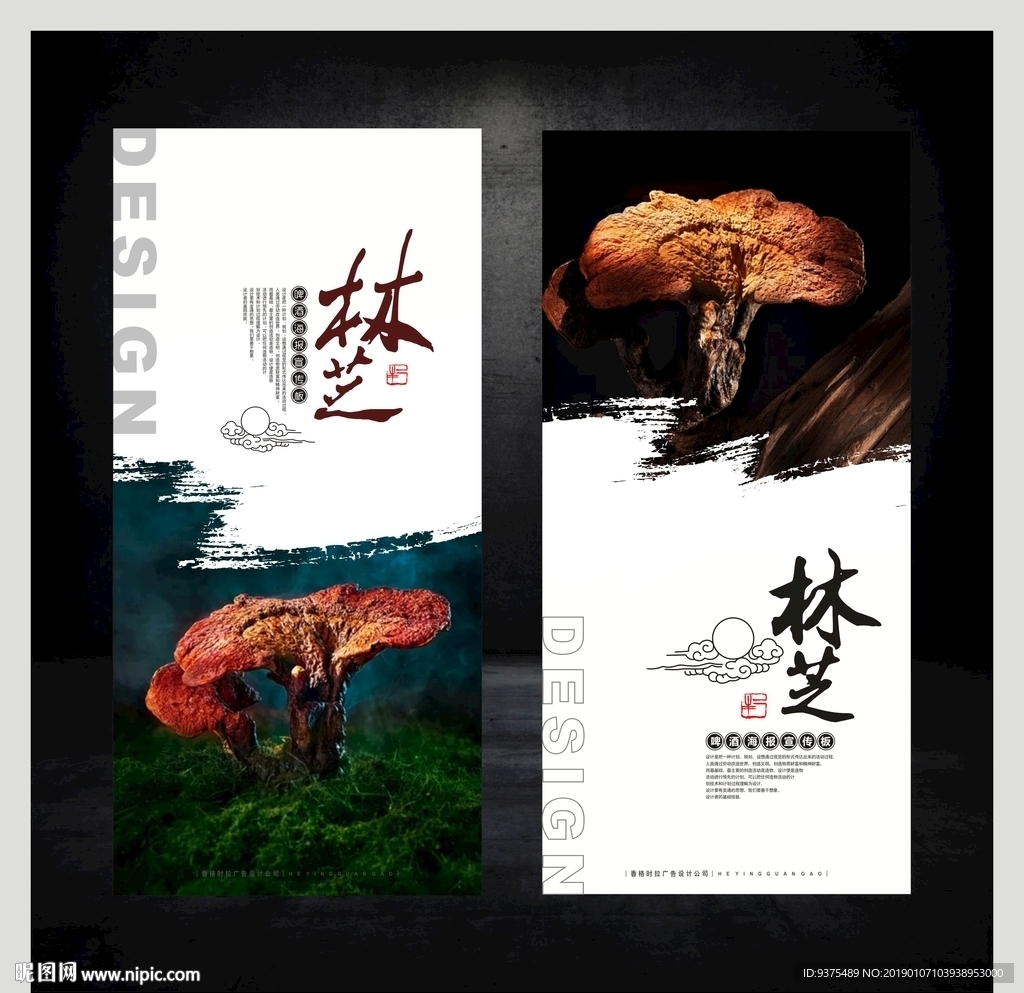 灵芝海报展板