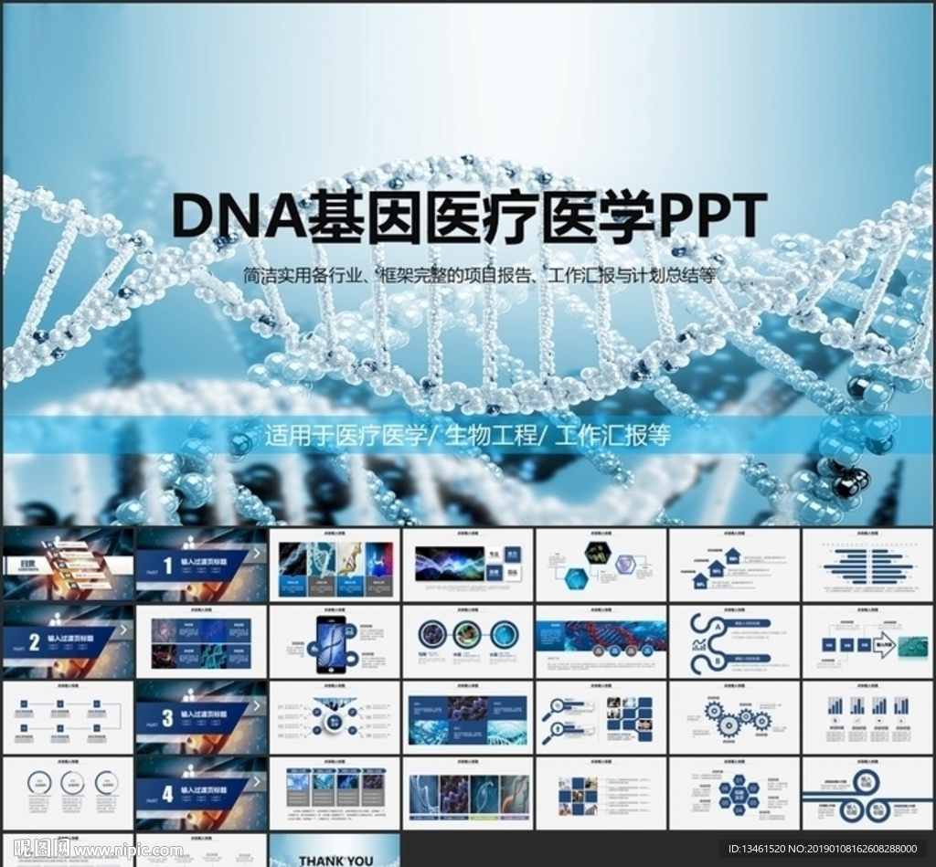 DNA基因技术PPT