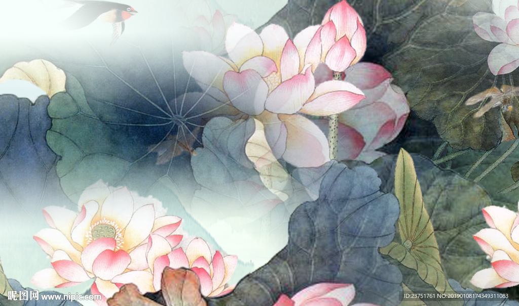 荷花