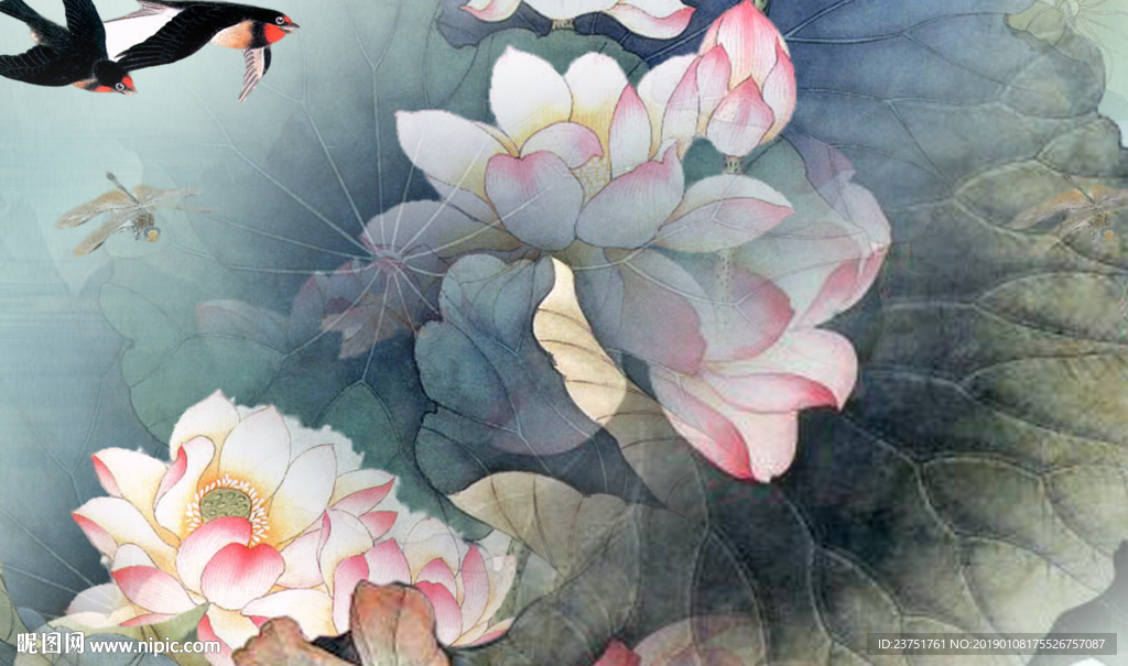 荷花
