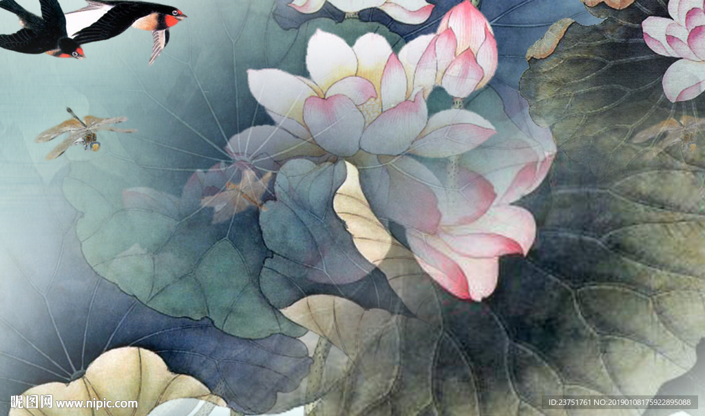 荷花