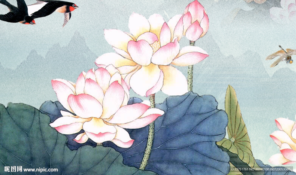 荷花