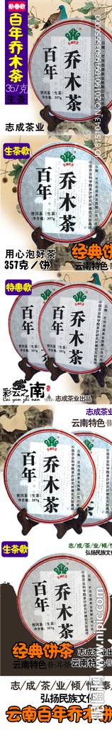 志成茶业