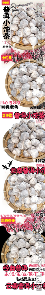 志成茶业