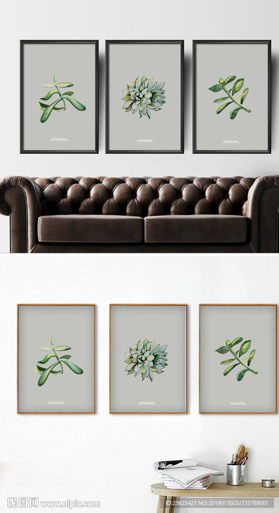 现代简约手绘花卉植物装饰画