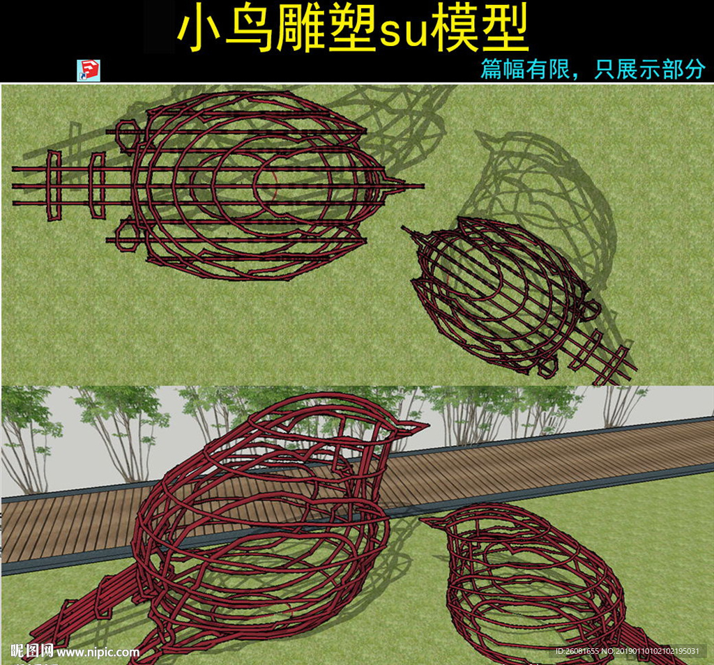 现代小鸟动物模型