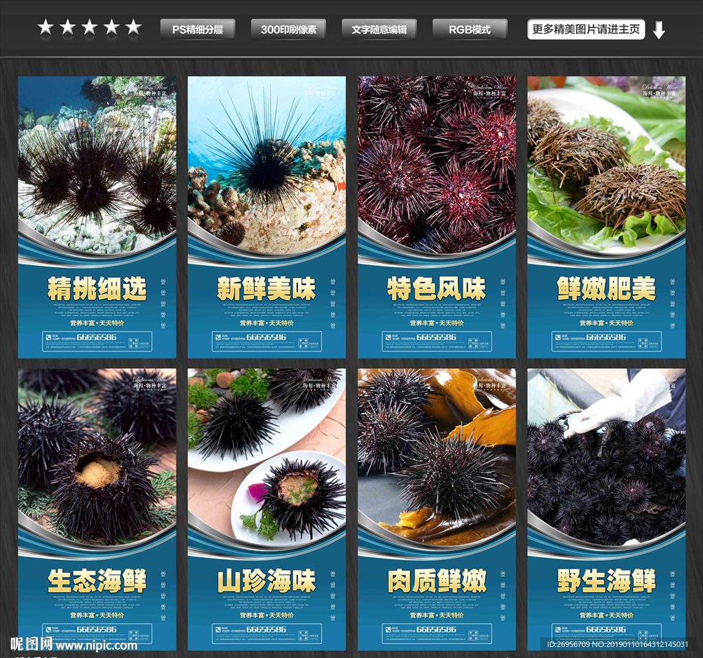 海胆