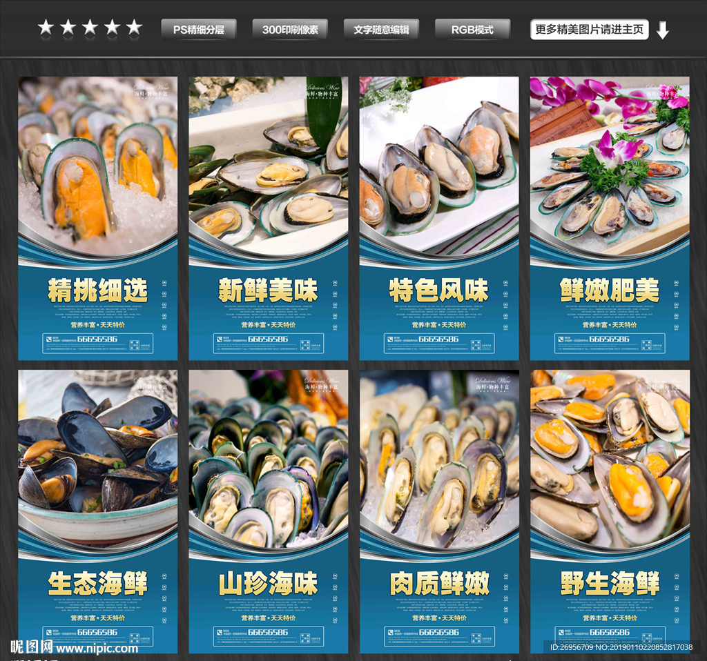 青口贝