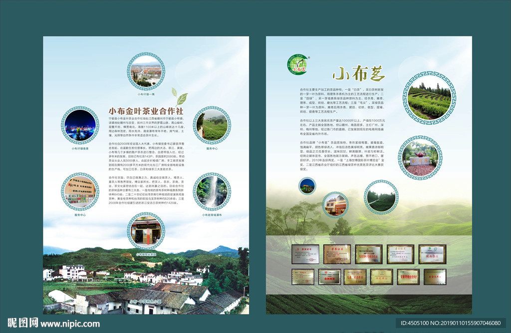 茶叶单页