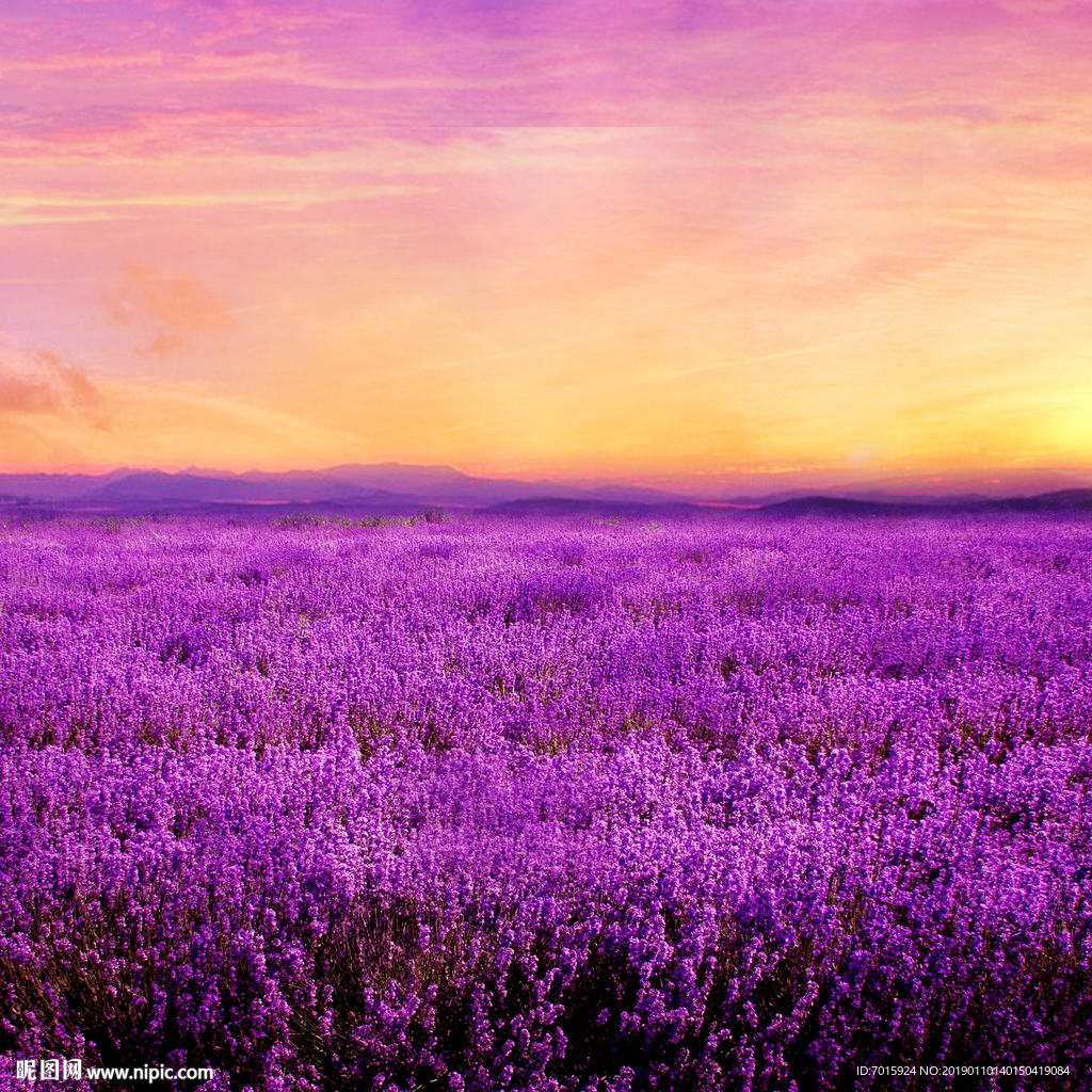 电视背景墙 背景墙 背景墙