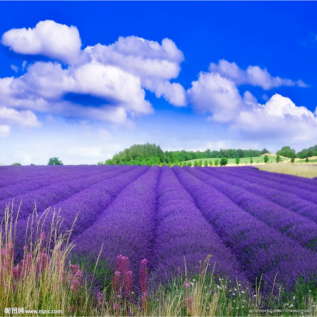 电视背景墙 背景墙 背景墙设