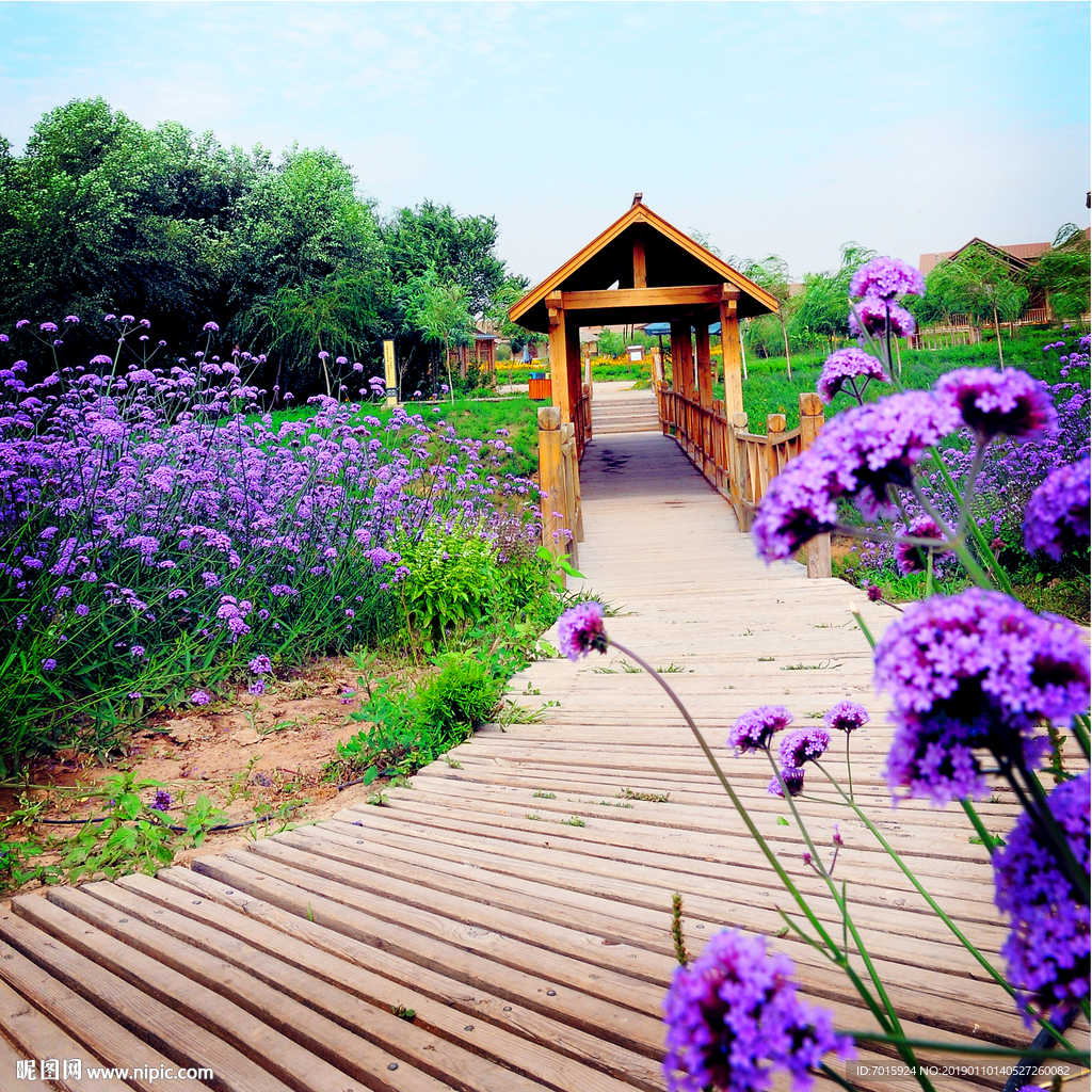 工装背景墙 浪漫 薰衣草