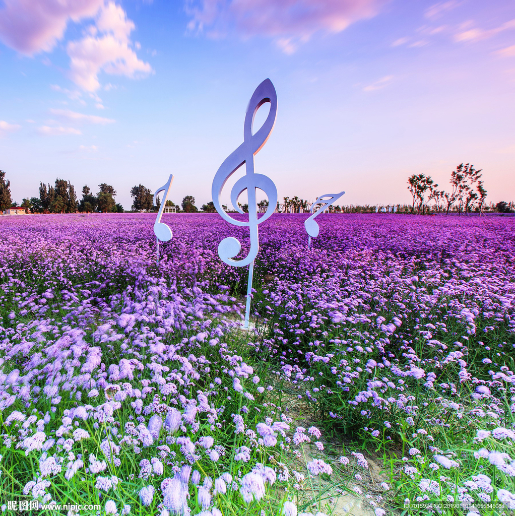 薰衣草电视背景墙