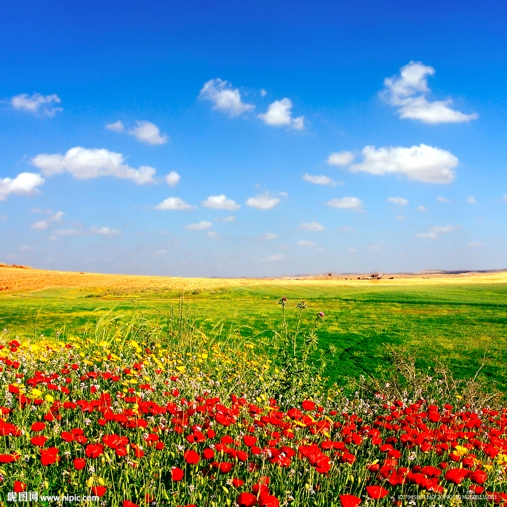 薰衣草唯美风景 唯美花海