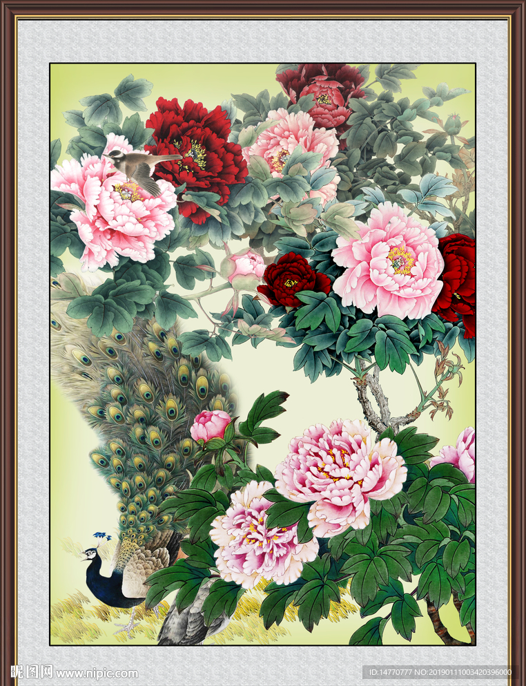国画牡丹 孔雀图