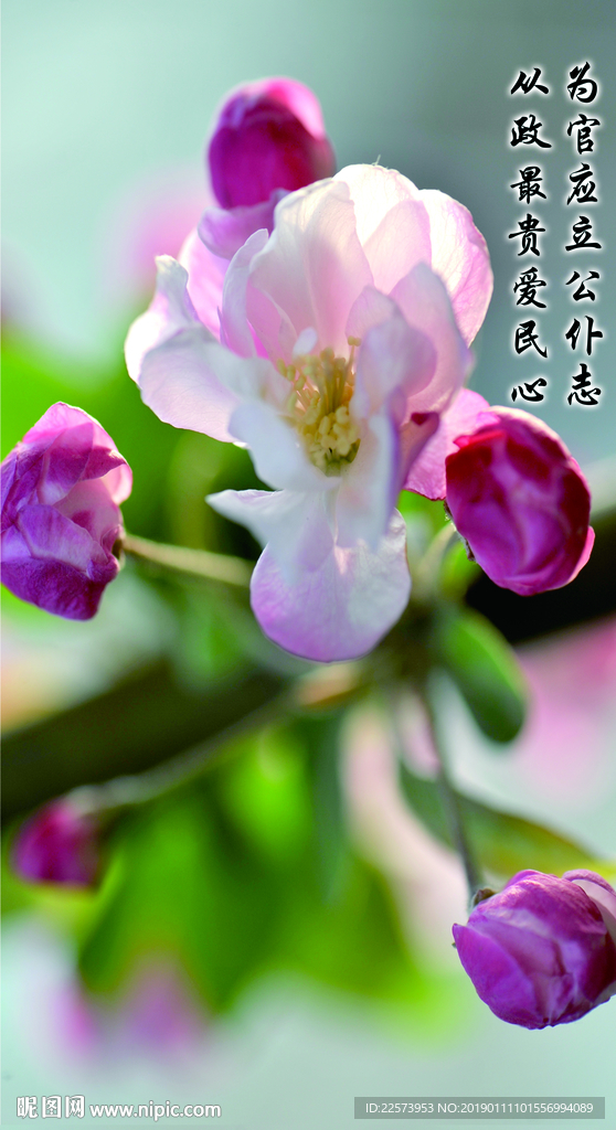 廉政文化