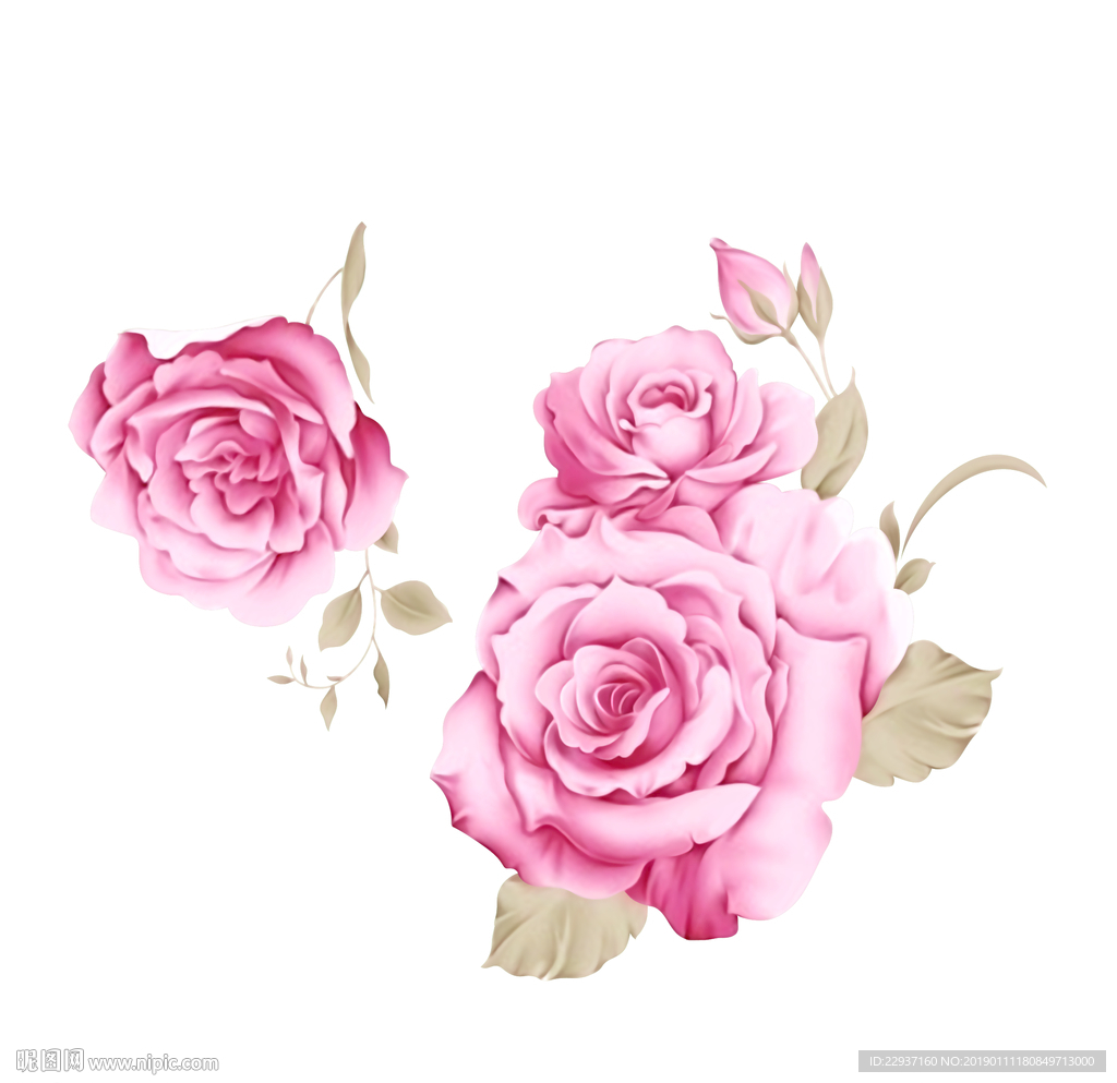 手绘花