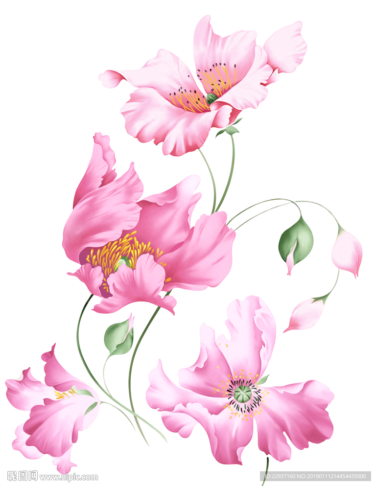 手绘花