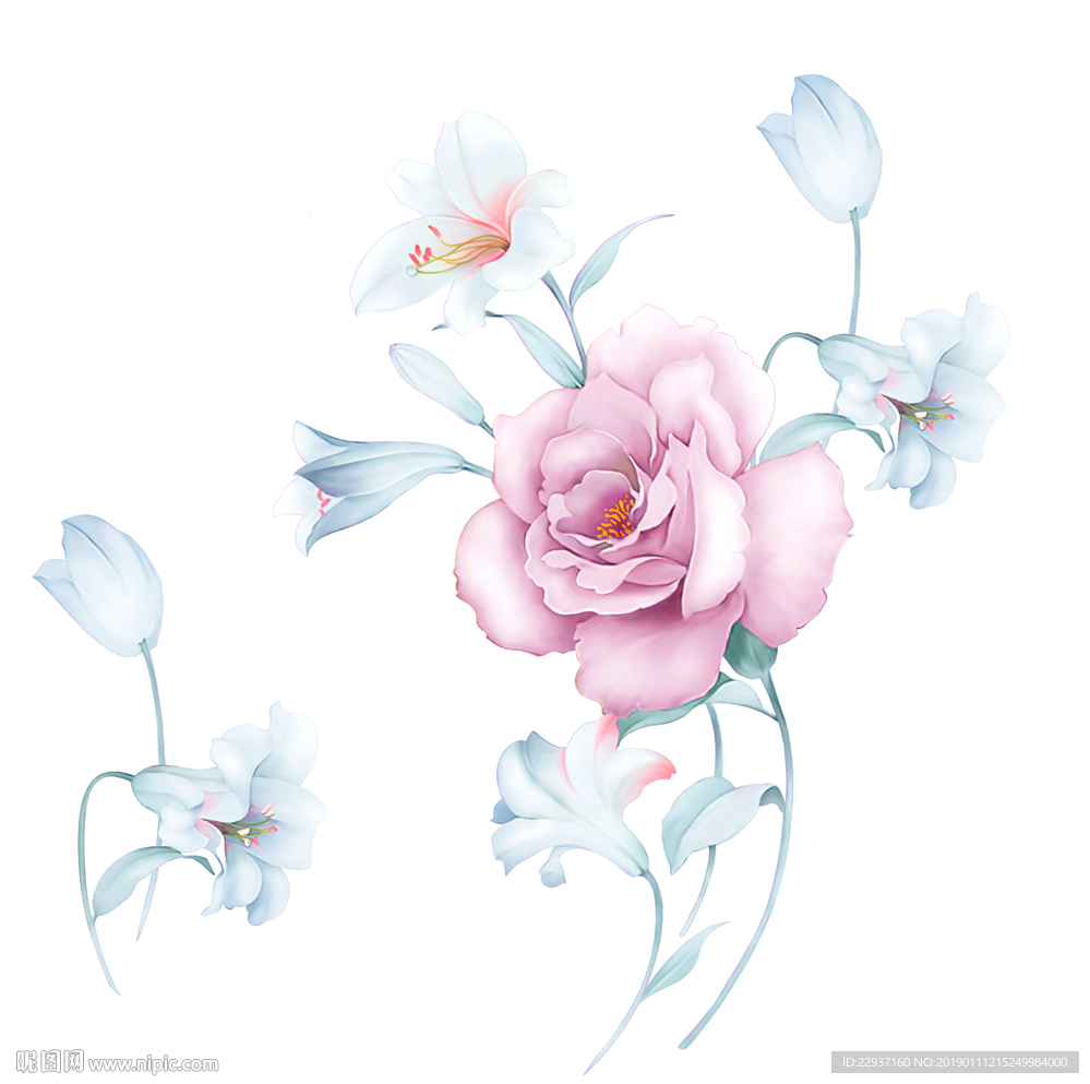 rgb10元(cny)×关 键 词:手绘花 高清分层 电脑手绘 花卉 植物