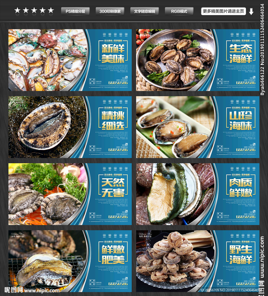 鲍鱼