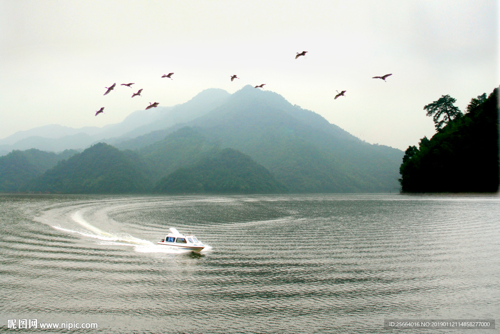 白鹭湖