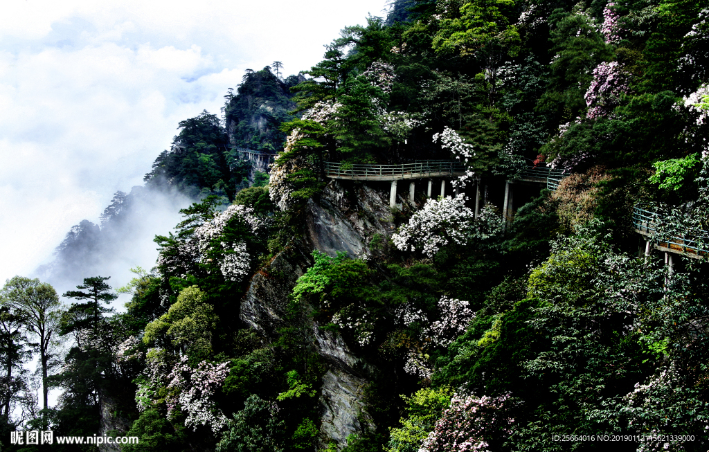 井冈山 杜鹃山