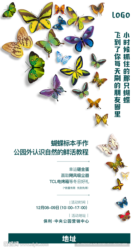 蝴蝶标本周末活动