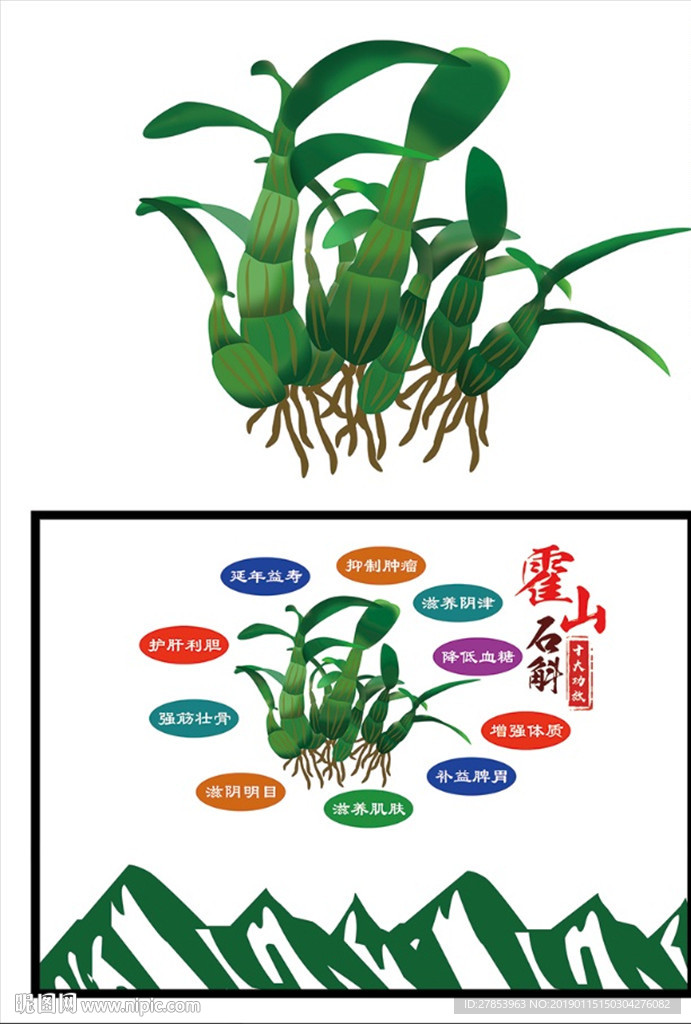 石斛
