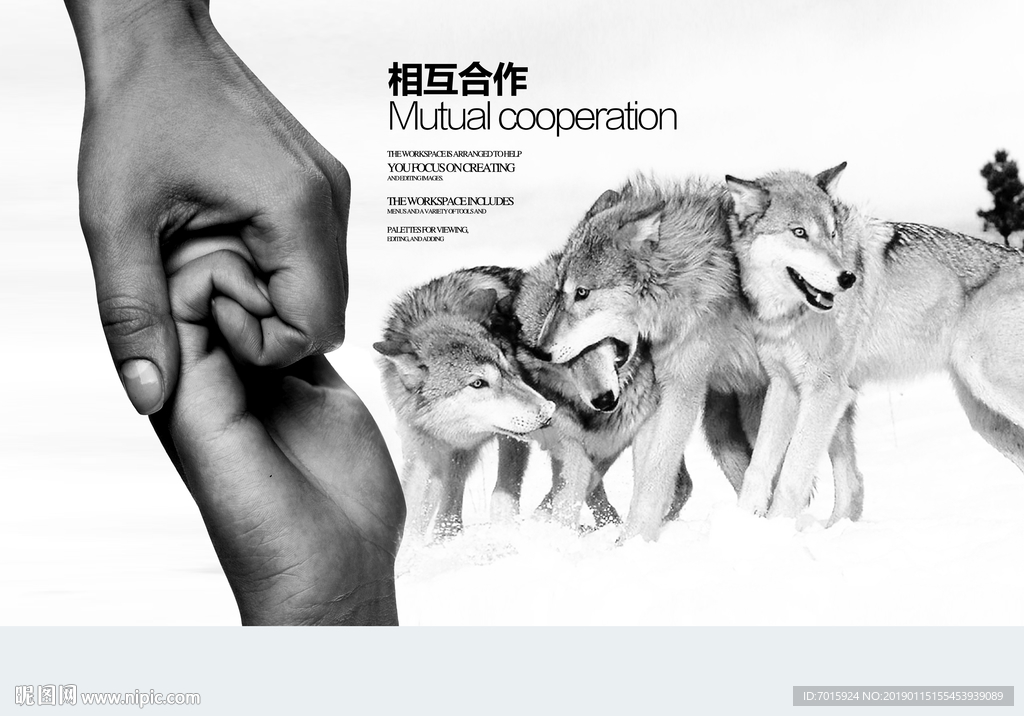 企业文化素材 企业文化模板