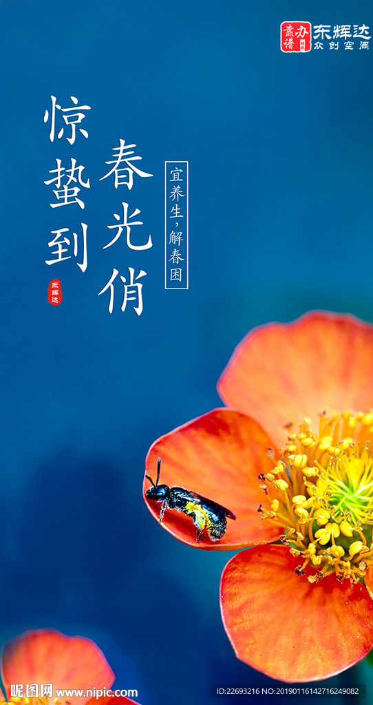 惊蛰海报设计PSD