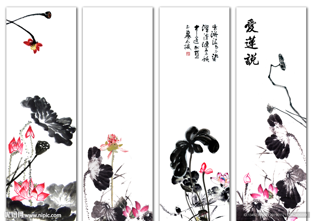 黑白荷花