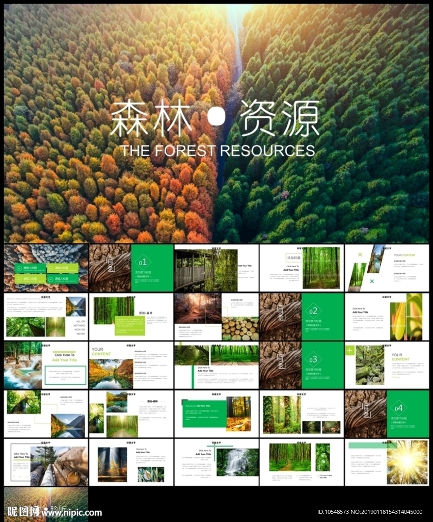 植树节湿地森林日植树造林PPT