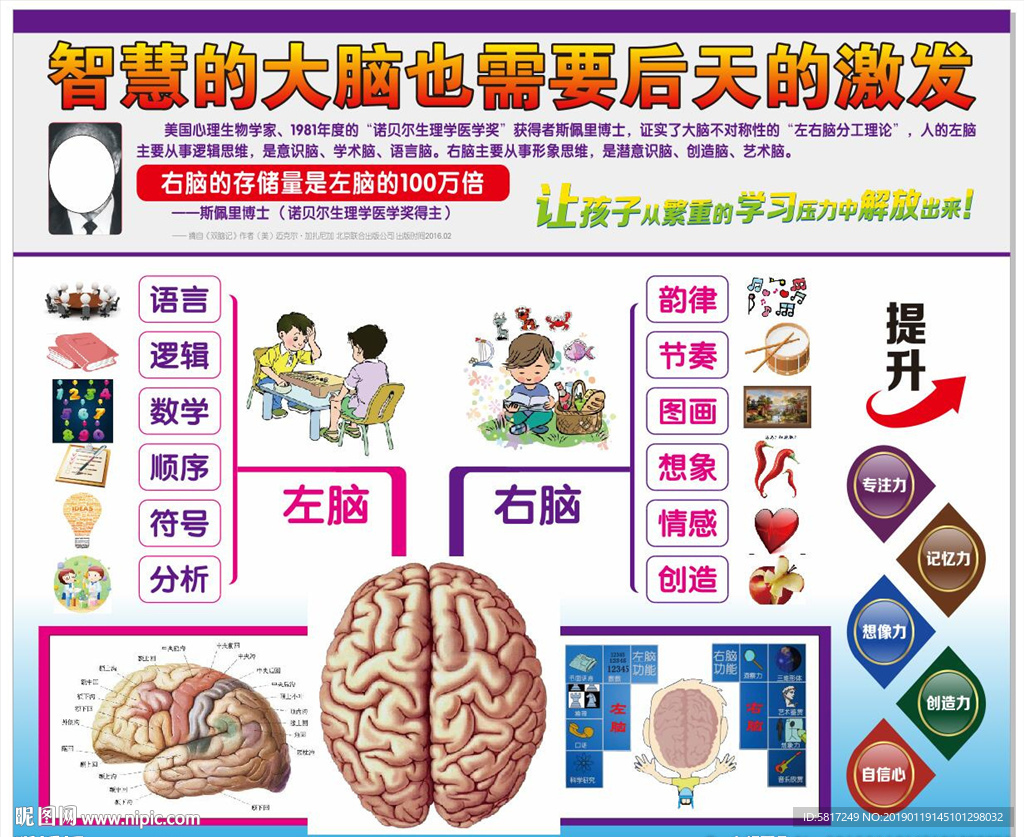 左右脑分工图