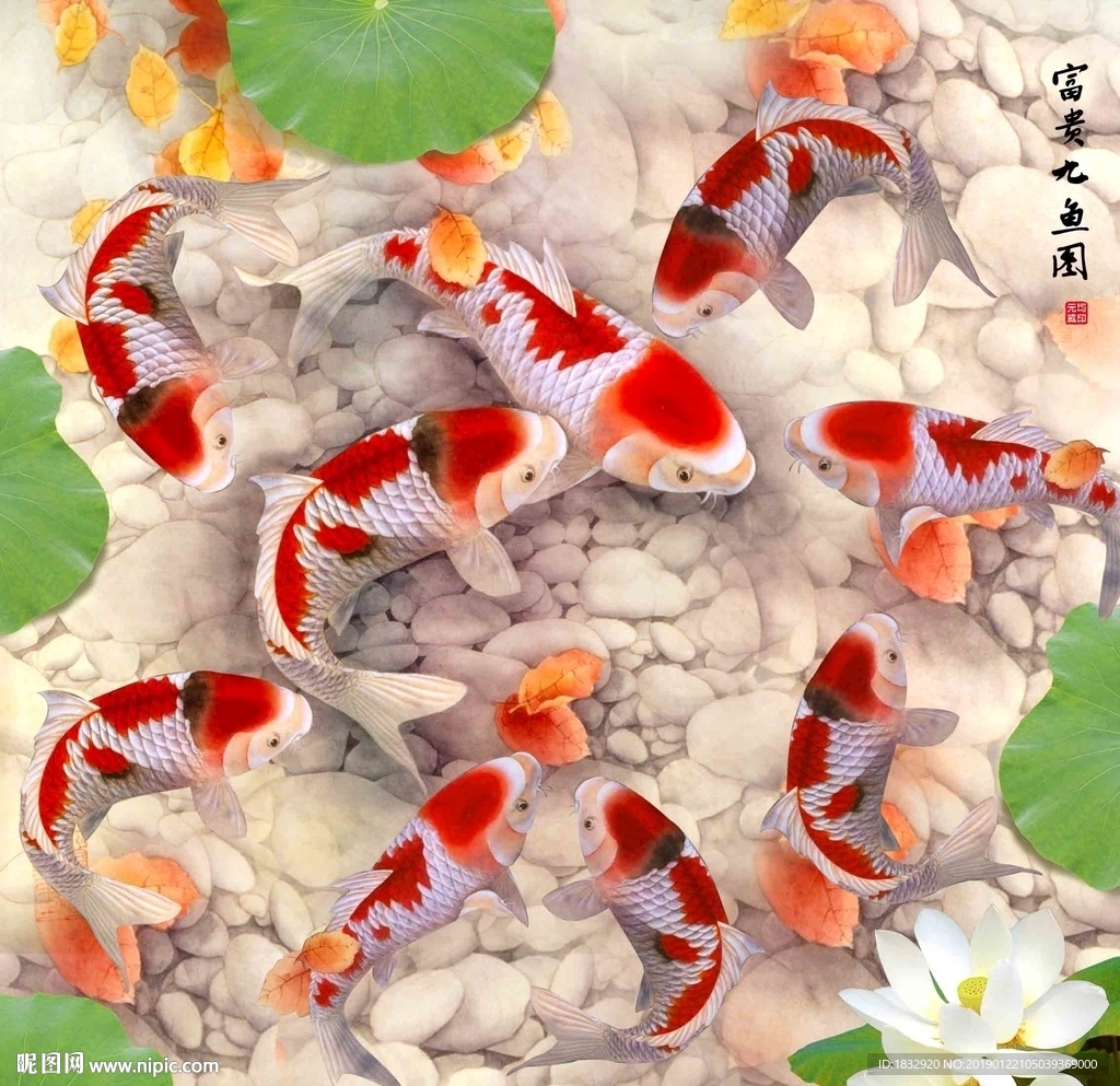 九鱼图