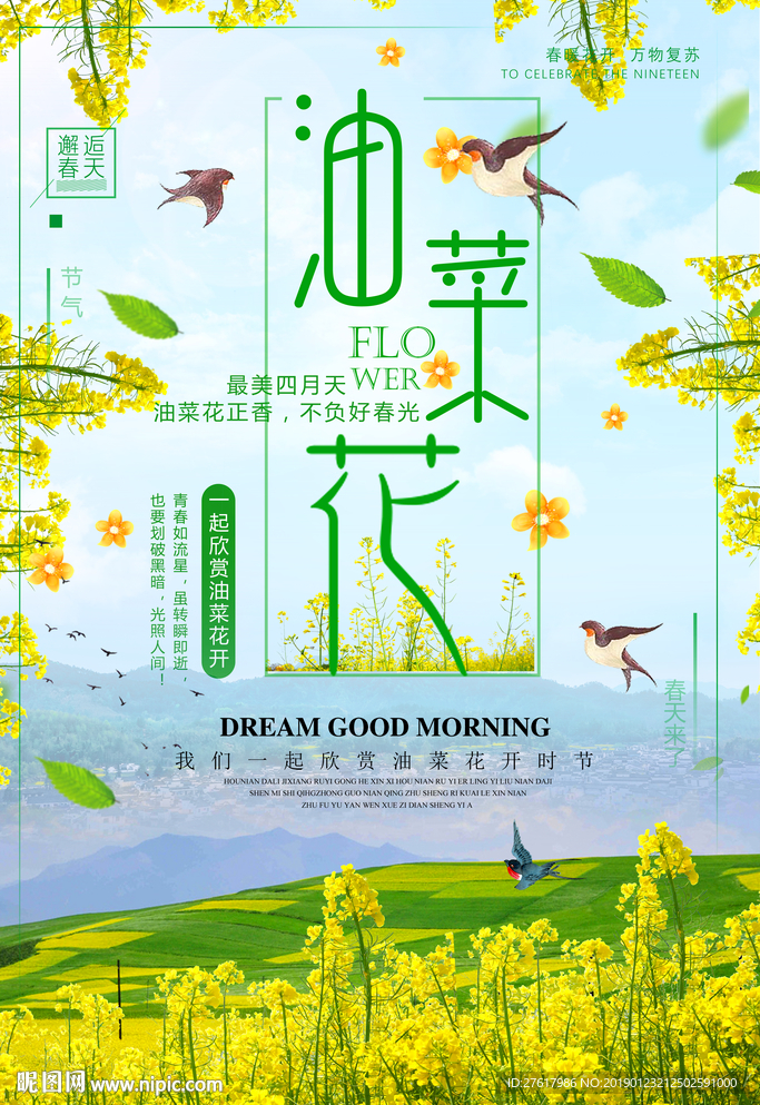 油菜花海报