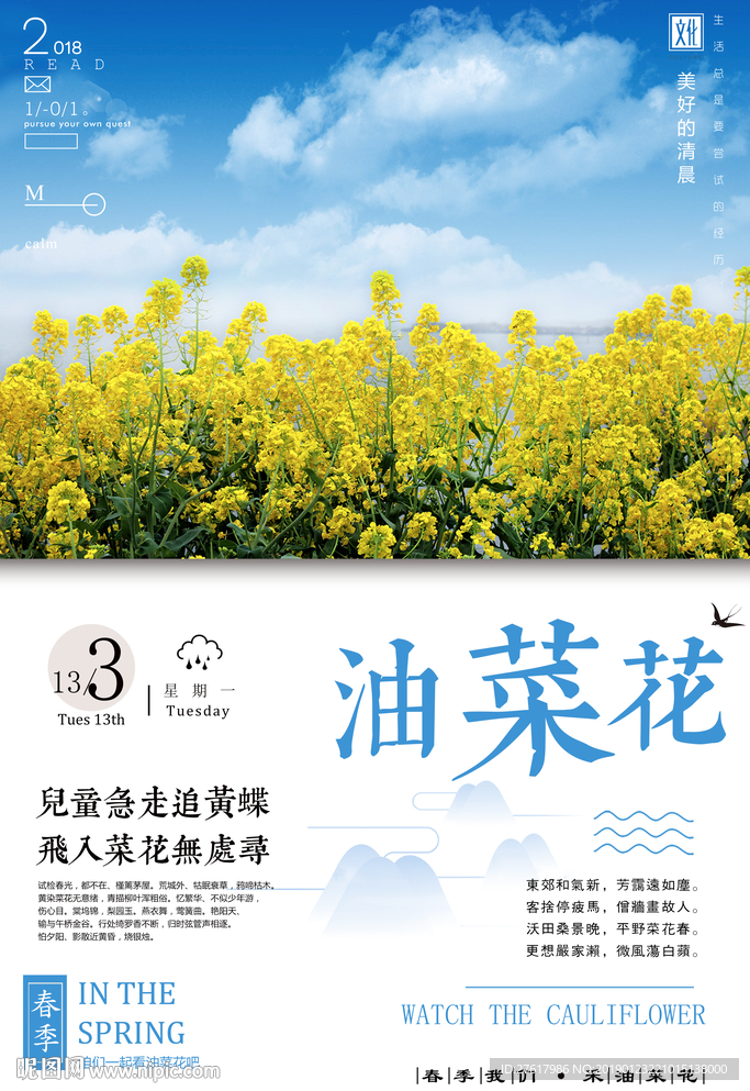 油菜花节海报