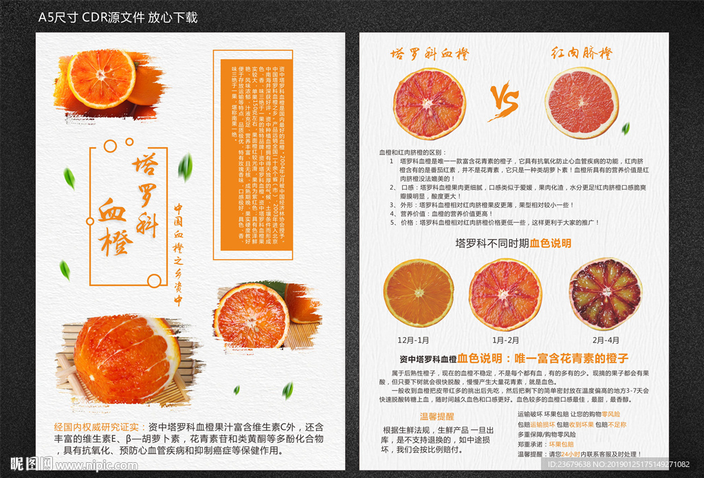 血橙