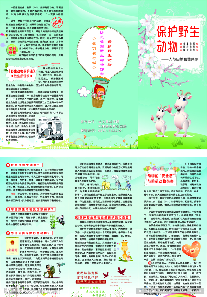 保护野生动物折页