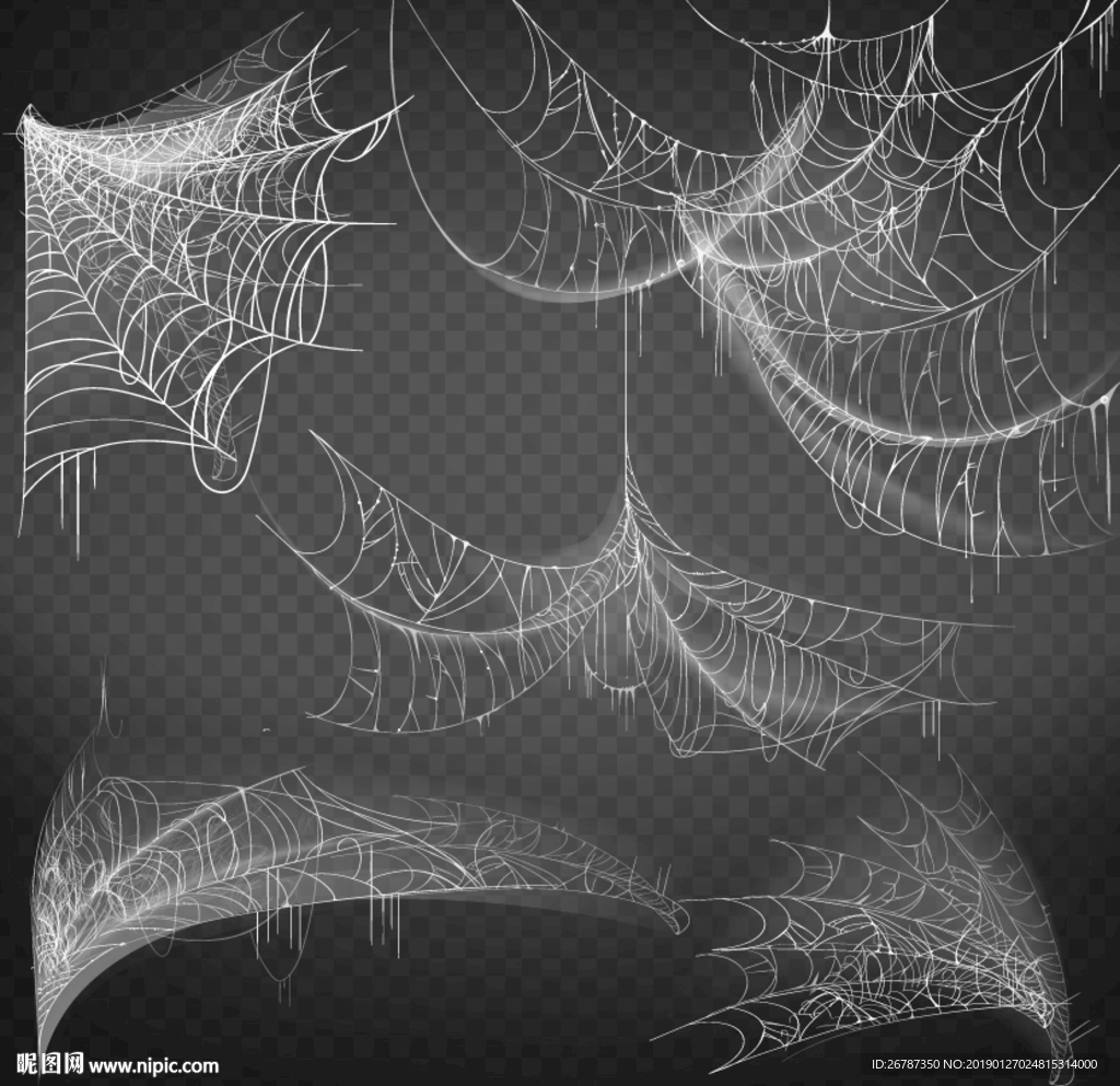 矢量蜘蛛网设计