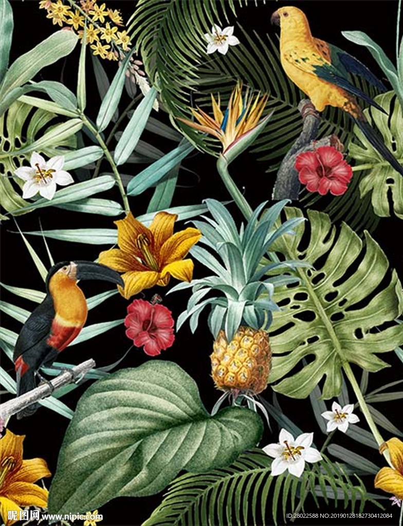 手绘热带植物菠萝天堂鸟鹦鹉素材