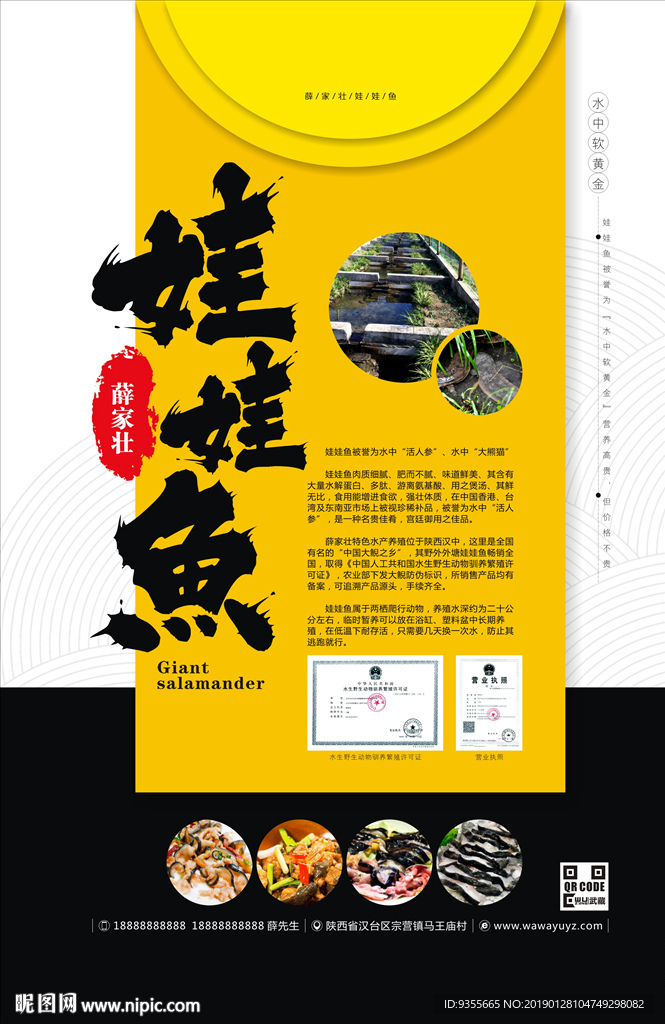 娃娃鱼