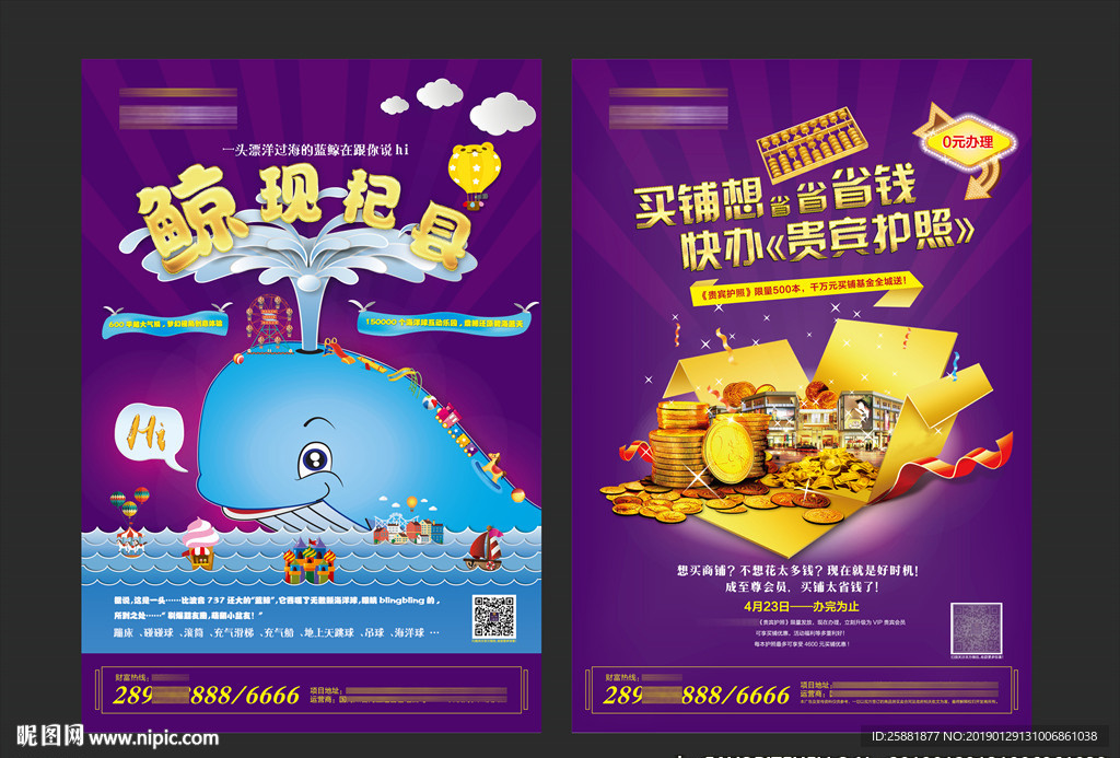 鲸鱼岛活动宣传页