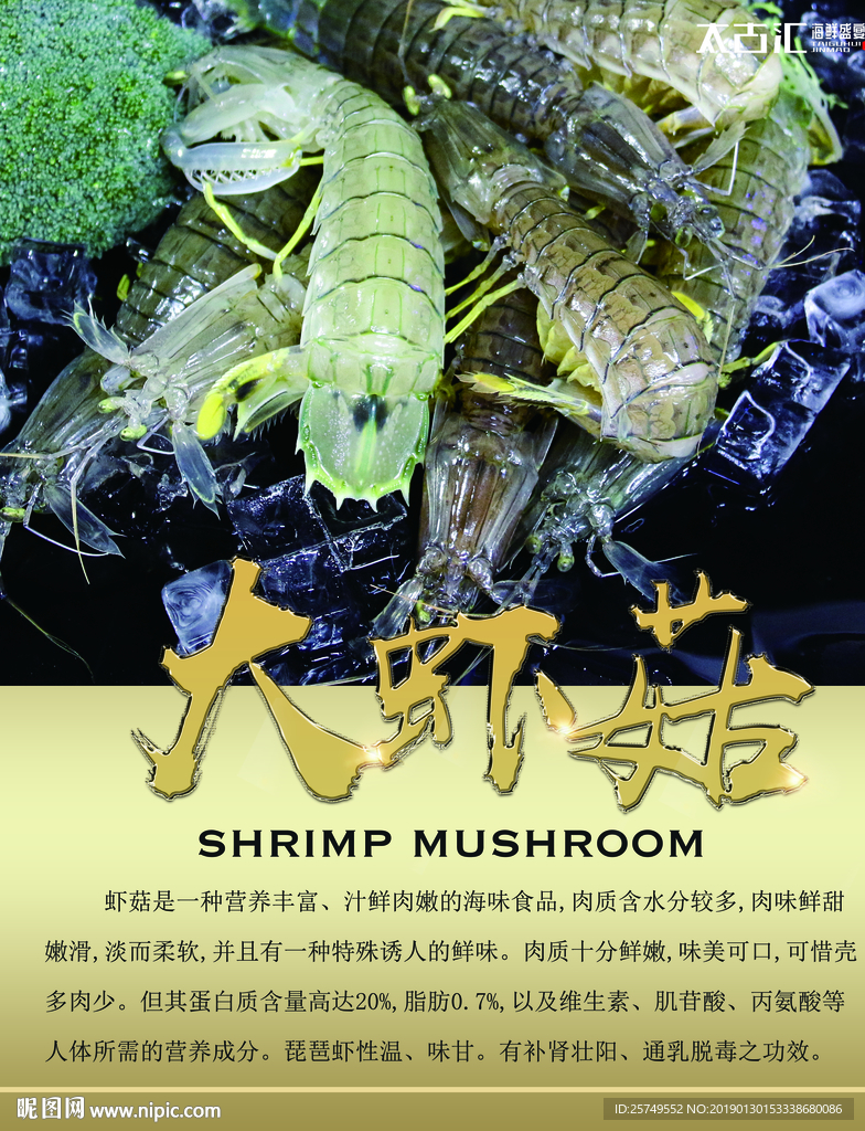大虾菇