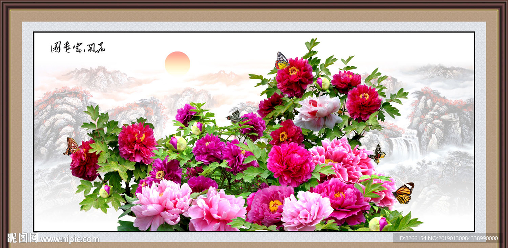 牡丹花