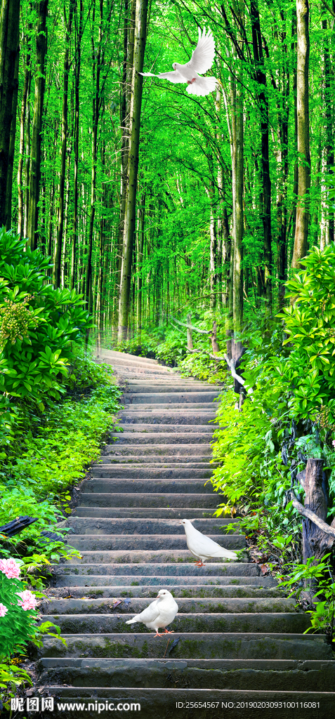 树林走道玄关